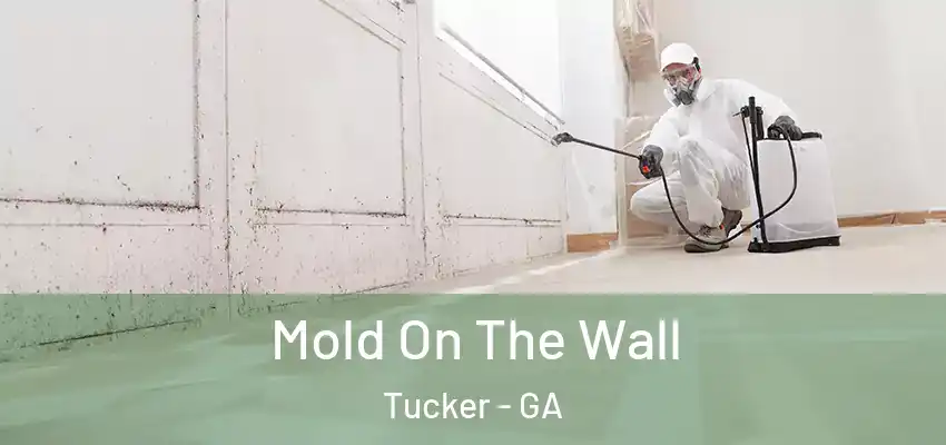 Mold On The Wall Tucker - GA