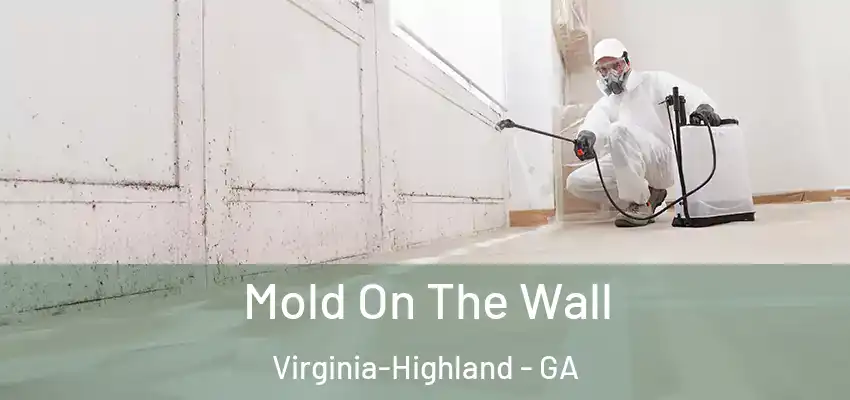  Mold On The Wall Virginia-Highland - GA