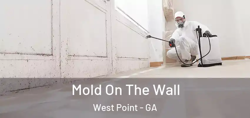  Mold On The Wall West Point - GA