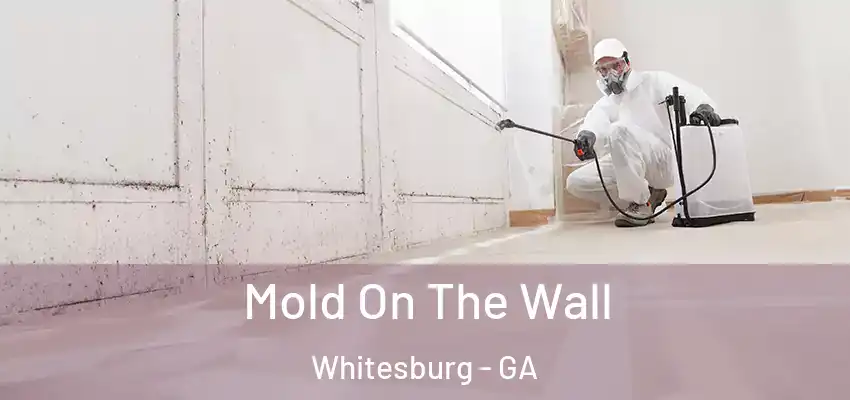 Mold On The Wall Whitesburg - GA