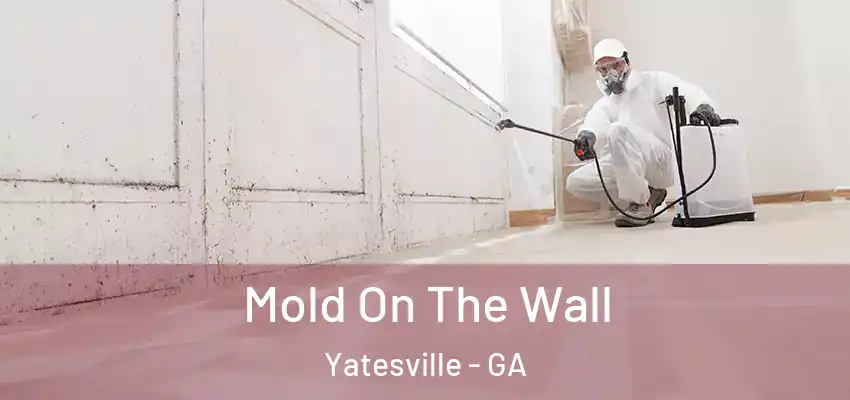  Mold On The Wall Yatesville - GA