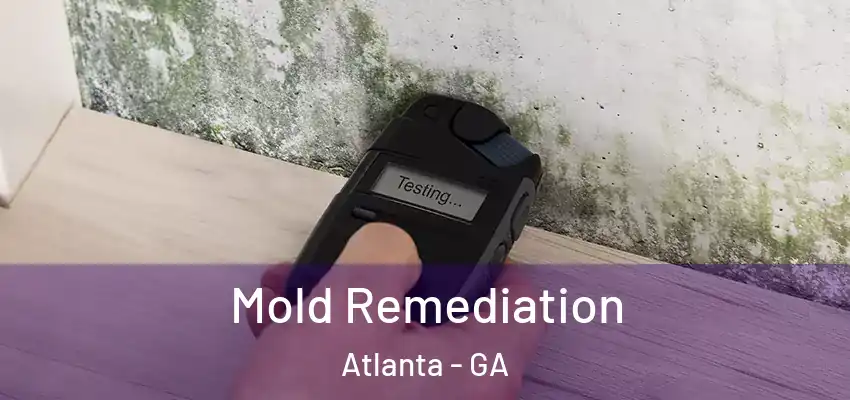 Mold Remediation Atlanta - GA
