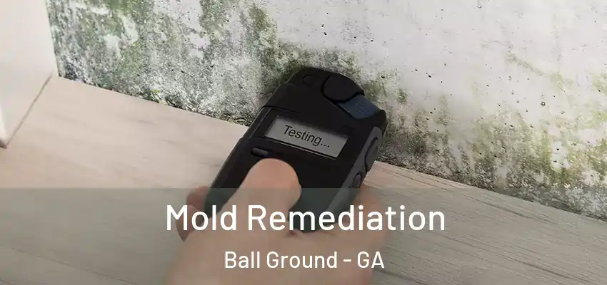 Mold Remediation Ball Ground - GA