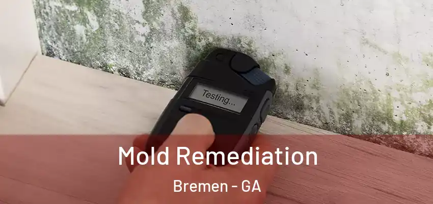  Mold Remediation Bremen - GA
