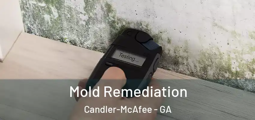  Mold Remediation Candler-McAfee - GA