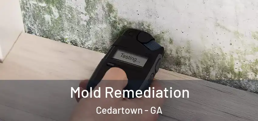  Mold Remediation Cedartown - GA