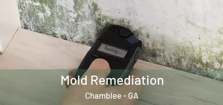  Mold Remediation Chamblee - GA