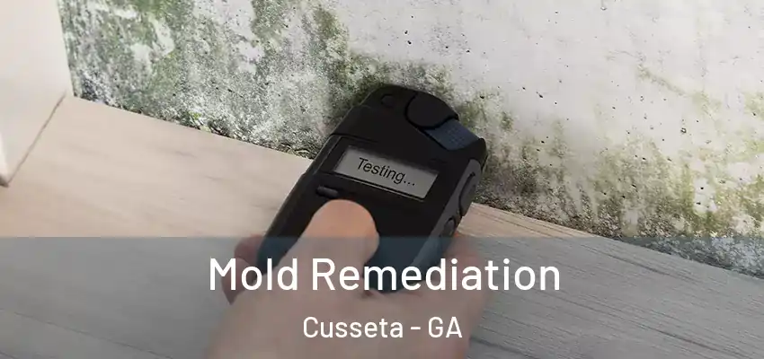  Mold Remediation Cusseta - GA