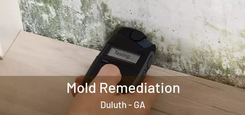 Mold Remediation Duluth - GA