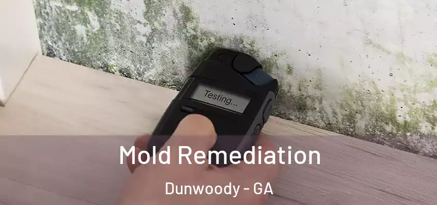  Mold Remediation Dunwoody - GA