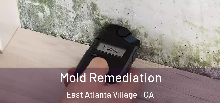 Mold Remediation East Atlanta Village - GA