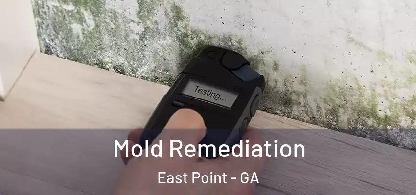 Mold Remediation East Point - GA