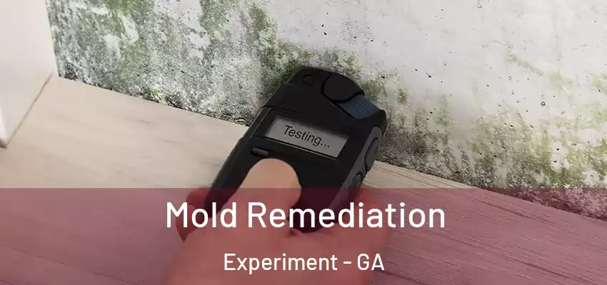  Mold Remediation Experiment - GA