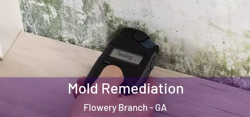  Mold Remediation Flowery Branch - GA