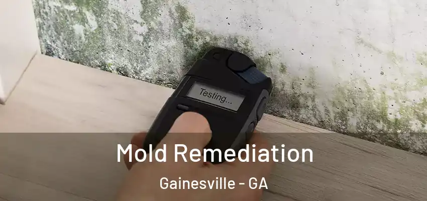  Mold Remediation Gainesville - GA