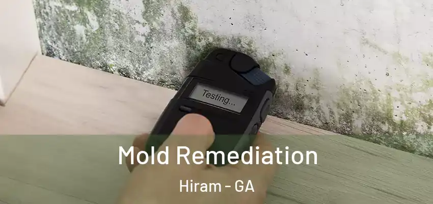 Mold Remediation Hiram - GA