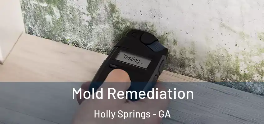  Mold Remediation Holly Springs - GA