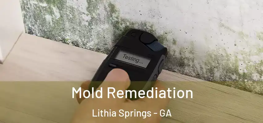  Mold Remediation Lithia Springs - GA