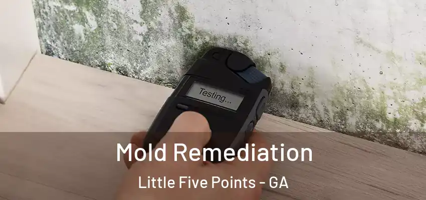 Mold Remediation Little Five Points - GA