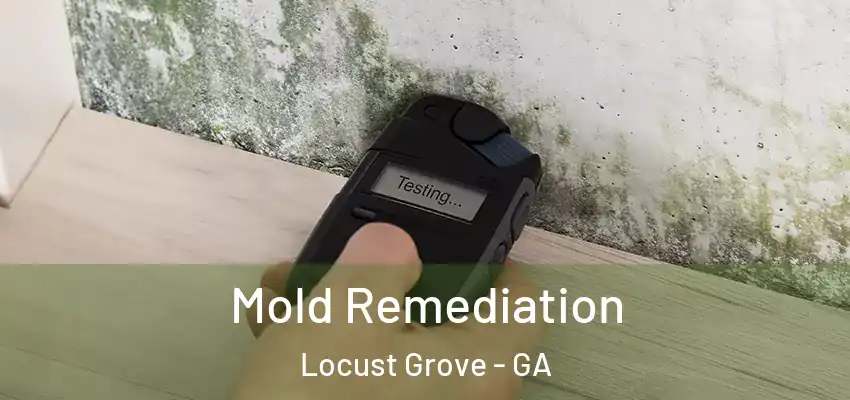  Mold Remediation Locust Grove - GA