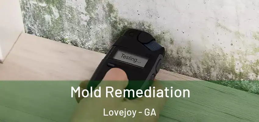  Mold Remediation Lovejoy - GA