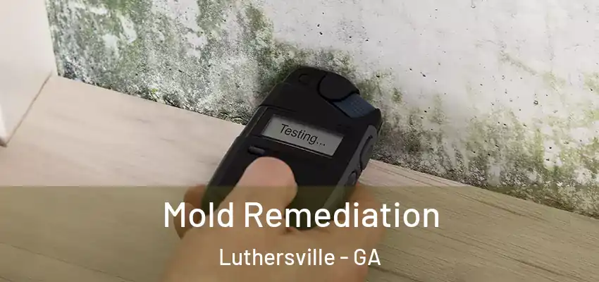  Mold Remediation Luthersville - GA