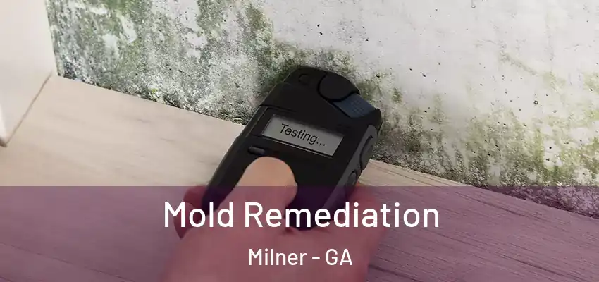  Mold Remediation Milner - GA