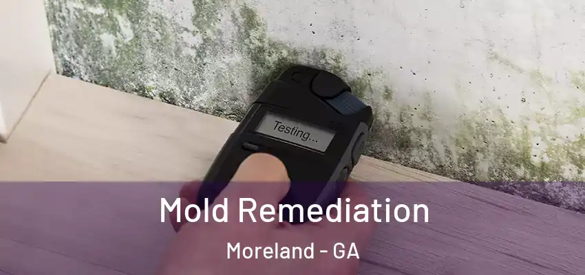 Mold Remediation Moreland - GA