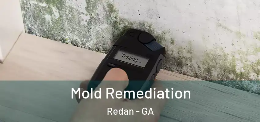  Mold Remediation Redan - GA
