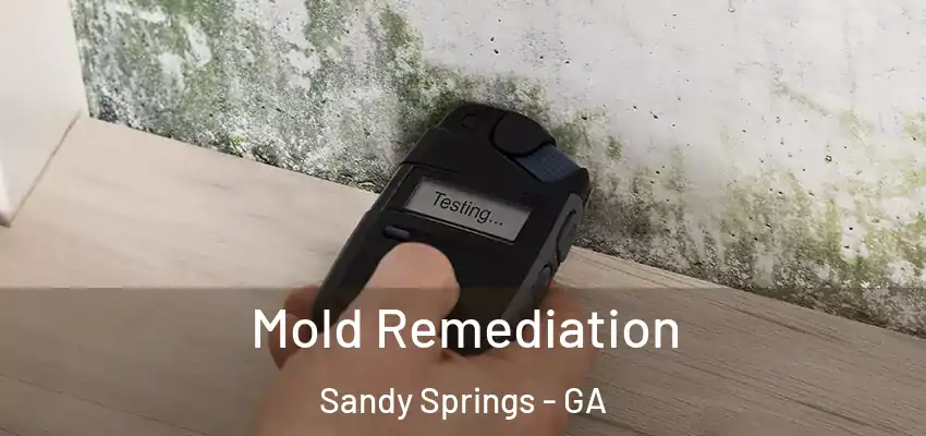  Mold Remediation Sandy Springs - GA