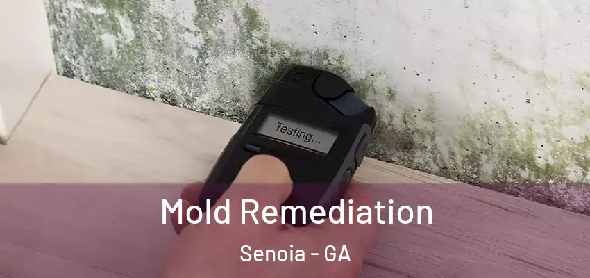  Mold Remediation Senoia - GA