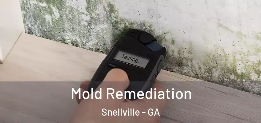  Mold Remediation Snellville - GA