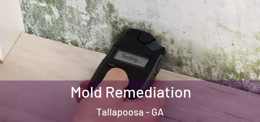  Mold Remediation Tallapoosa - GA
