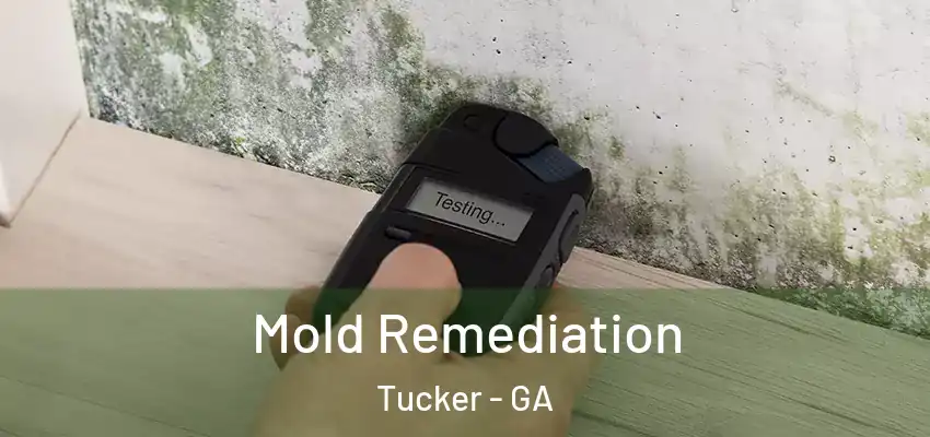Mold Remediation Tucker - GA