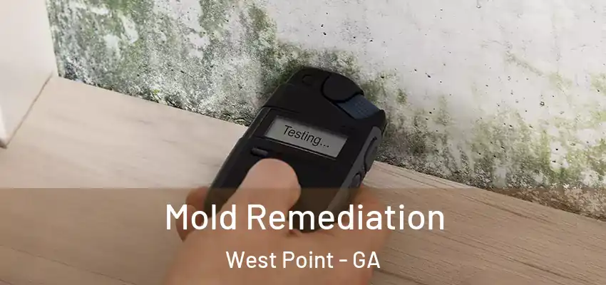  Mold Remediation West Point - GA