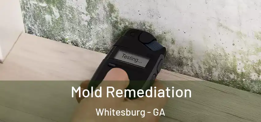 Mold Remediation Whitesburg - GA
