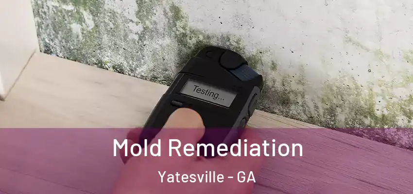  Mold Remediation Yatesville - GA