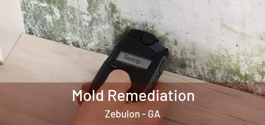  Mold Remediation Zebulon - GA