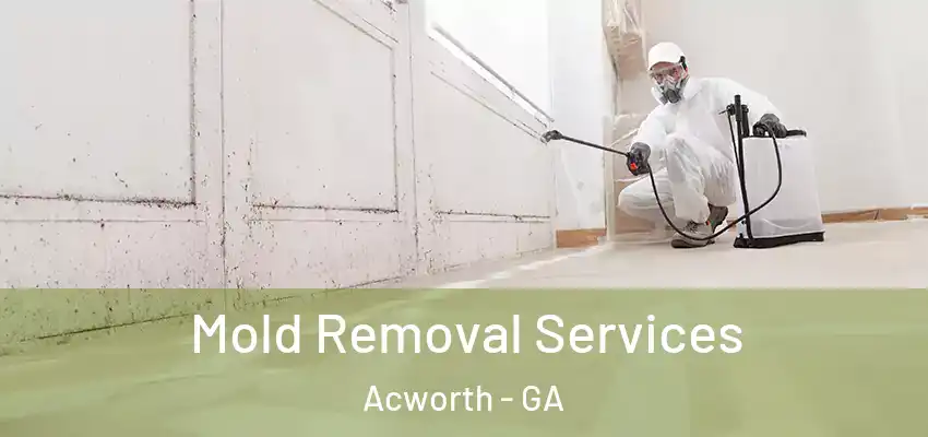  Mold Removal Services Acworth - GA