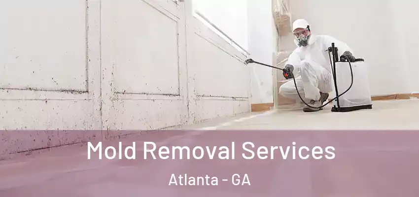 Mold Removal Services Atlanta - GA
