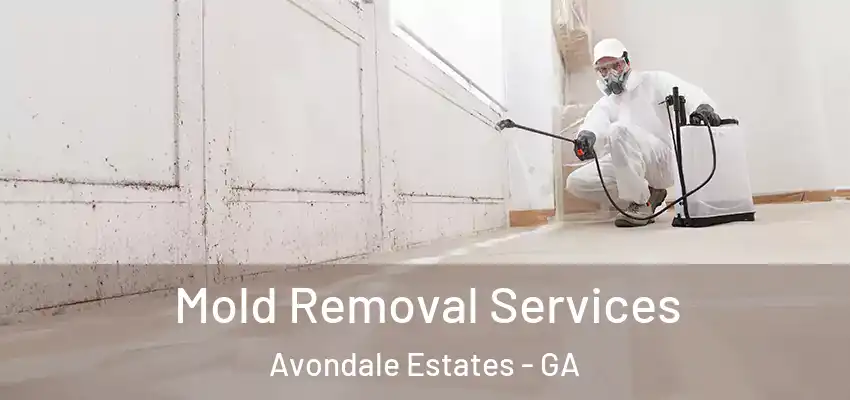 Mold Removal Services Avondale Estates - GA