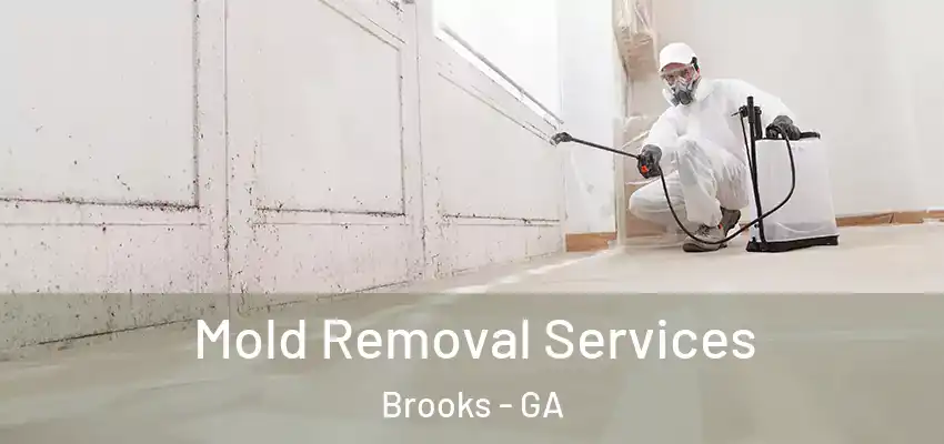 Mold Removal Services Brooks - GA