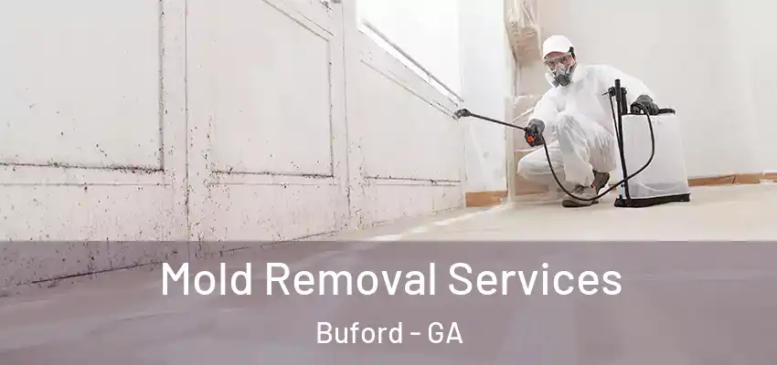  Mold Removal Services Buford - GA
