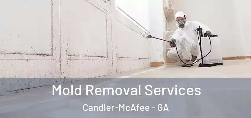 Mold Removal Services Candler-McAfee - GA