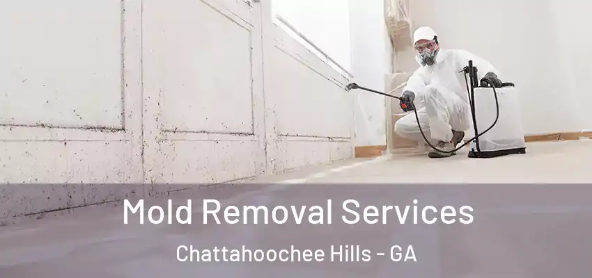  Mold Removal Services Chattahoochee Hills - GA