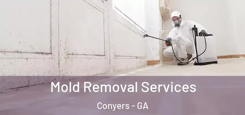 Mold Removal Services Conyers - GA