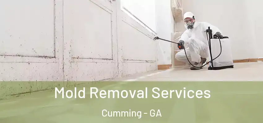  Mold Removal Services Cumming - GA