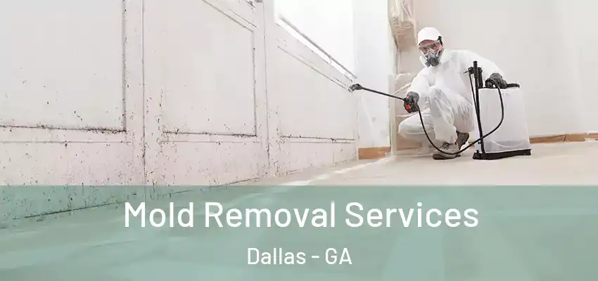 Mold Removal Services Dallas - GA