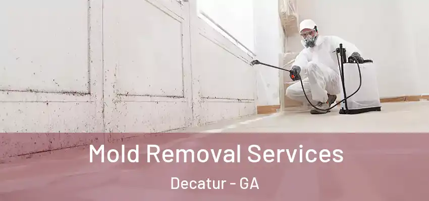  Mold Removal Services Decatur - GA