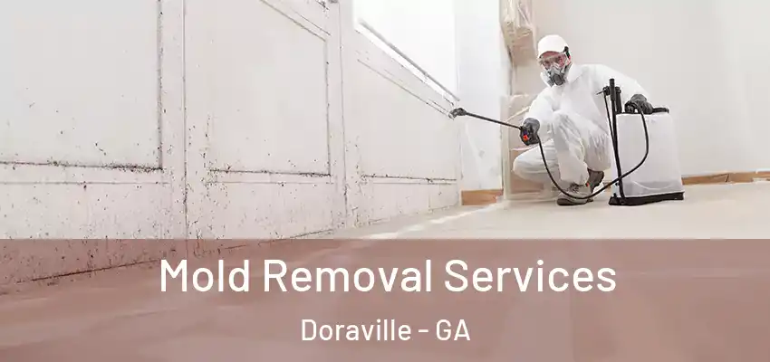 Mold Removal Services Doraville - GA